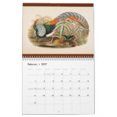 12 maanden Aziatische vogels: Fokmiddelen 2017 Kalender (Feb 2027)