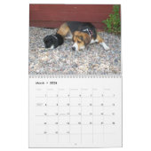 12 maanden Beagle Agenda - Wat een hond! Kalender (Mar 2026)