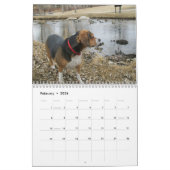 12 maanden Beagle Agenda - Wat een hond! Kalender (Feb 2026)