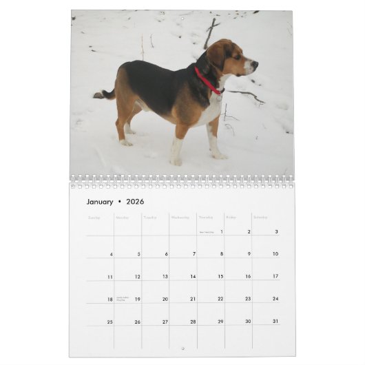 12 maanden Beagle Agenda - Wat een hond! Kalender (Jan 2026)