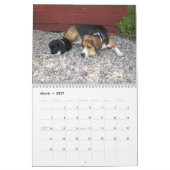 12 maanden Beagle Agenda - Wat een hond! Kalender (Mar 2027)