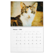 12 maanden Calico Tortoiseshel Cats Waterverf Gift Kalender (Feb 2026)