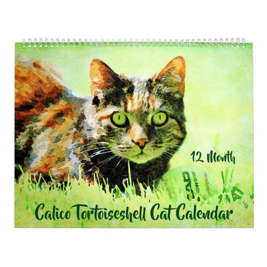 12 maanden Calico Tortoiseshel Cats Waterverf Gift Kalender (Hoes)