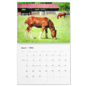 12 maanden Clydesdale Waterverf voor zware paarden Kalender (Mar 2026)