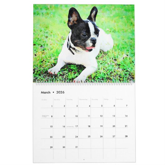 12 maanden Cute Boston Terrier Dogs Waterverf Gift Kalender (Mar 2026)