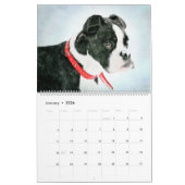 12 maanden Cute Boston Terrier Dogs Waterverf Gift Kalender (Jan 2026)