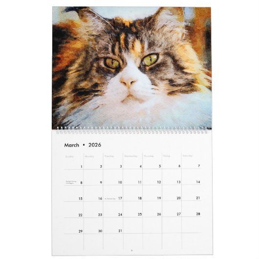 12 maanden Cute Maine Coon Cats Waterverf Painting Kalender (Mar 2026)