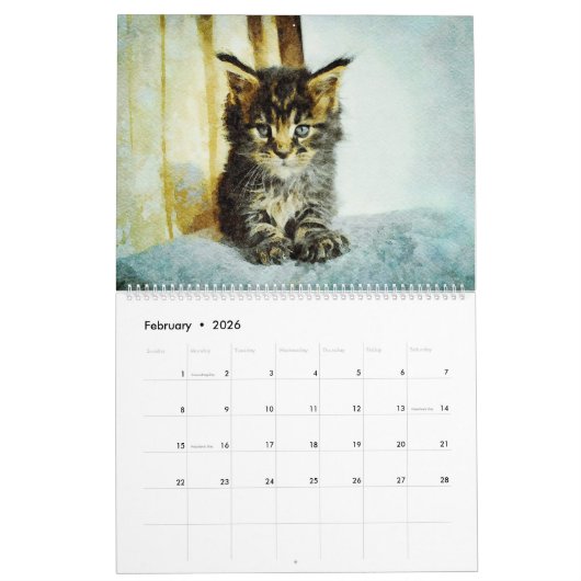 12 maanden Cute Maine Coon Cats Waterverf Painting Kalender (Feb 2026)
