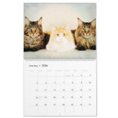 12 maanden Cute Maine Coon Cats Waterverf Painting Kalender (Jan 2026)