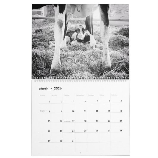 12 Maanden Dairy, Grain Boerderij Kalender (Mar 2026)