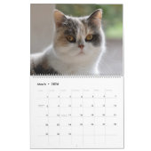 12 maanden dankbaarheid kalender (Mar 2026)
