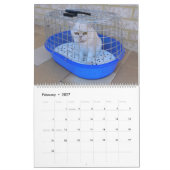 12 maanden dankbaarheid kalender (Feb 2027)
