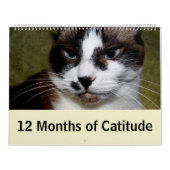 12 maanden dankbaarheid kalender (Hoes)