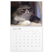 12 maanden dankbaarheid kalender (Jan 2027)