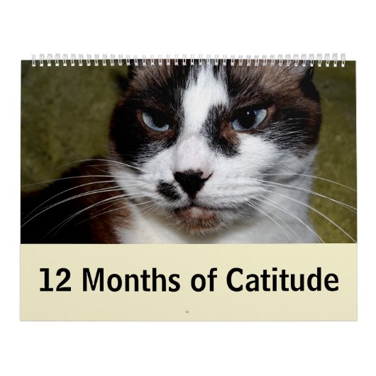 12 maanden dankbaarheid kalender (Hoes)