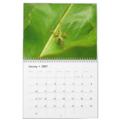 12 maanden dieren en natuur, 3e editie kalender (Jan 2027)