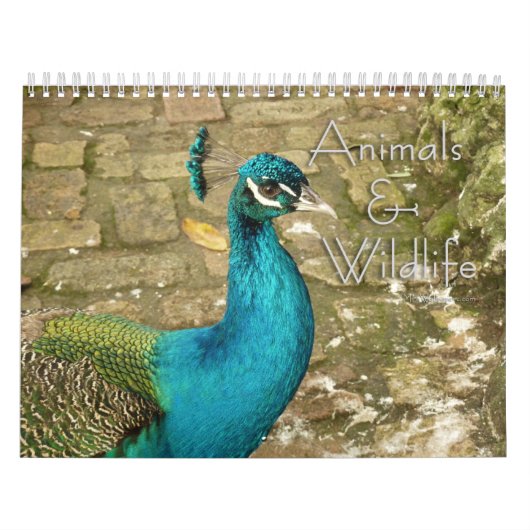 12 maanden dieren- en natuurfotografie kalender (Hoes)