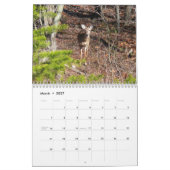 12 maanden dieren- en natuurfotografie kalender (Mar 2027)