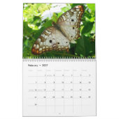 12 maanden dieren- en natuurfotografie kalender (Feb 2027)
