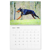 12 maanden Doberman Pinscher Dog Waterverf Schilde Kalender (Mar 2026)