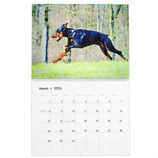 12 maanden Doberman Pinscher Dog Waterverf Schilde Kalender (Mar 2026)