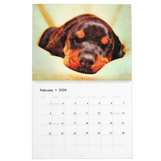 12 maanden Doberman Pinscher Dog Waterverf Schilde Kalender (Feb 2026)