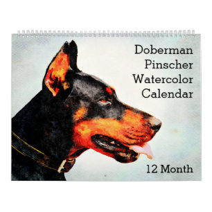 12 maanden Doberman Pinscher Dog Waterverf Schilde Kalender