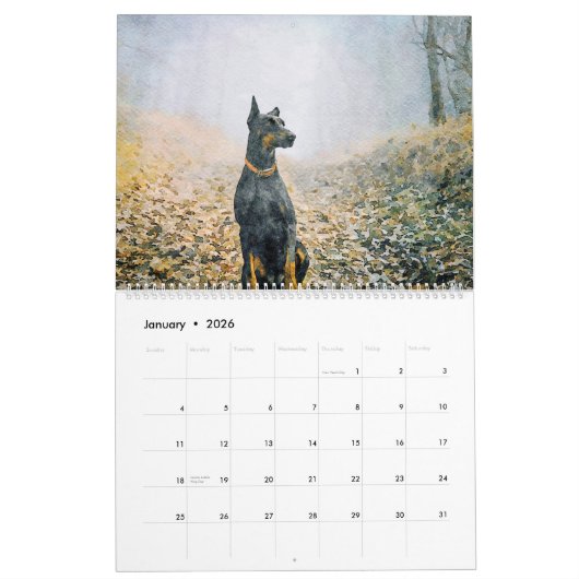 12 maanden Doberman Pinscher Dog Waterverf Schilde Kalender (Jan 2026)