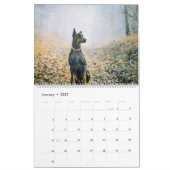 12 maanden Doberman Pinscher Dog Waterverf Schilde Kalender (Jan 2027)