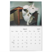 12 maanden Dorkus Kalender (Mar 2027)