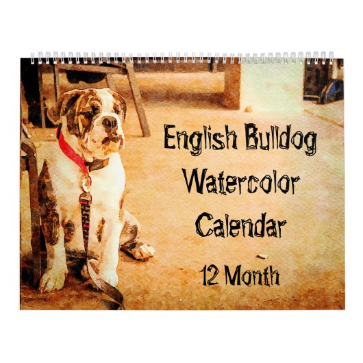 12 maanden Engelse Bulldog British Bull Dogs Art Kalender (Hoes)