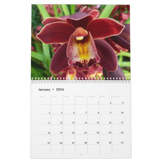 12 maanden Floral Photography, 4e editie Kalender (Jan 2026)