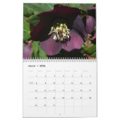 12 maanden foto's van de seizoenen, 1e editie kalender (Mar 2026)