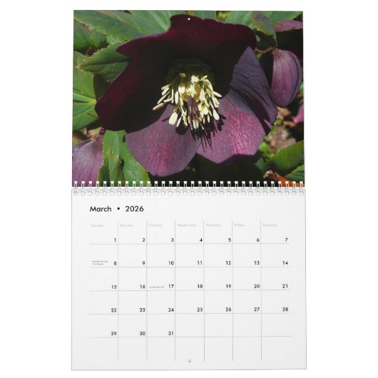 12 maanden foto's van de seizoenen, 1e editie kalender (Mar 2026)