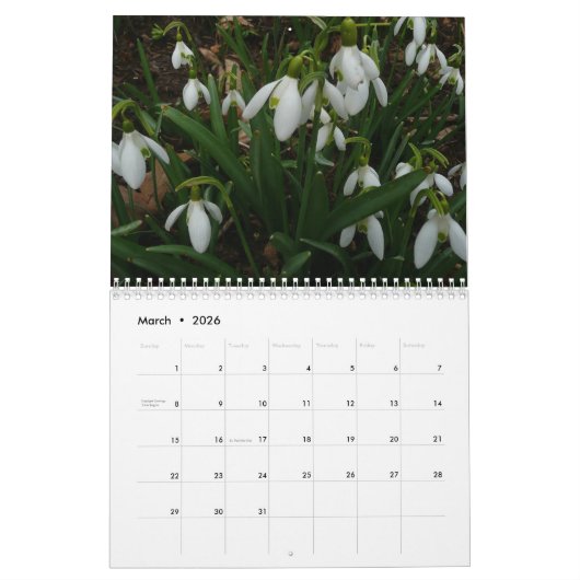 12 maanden foto's van de seizoenen, 2e editie kalender (Mar 2026)