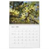 12 maanden foto's van de seizoenen, elfde editie kalender (Mar 2026)