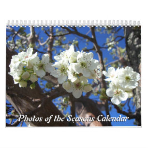 12 maanden foto's van de seizoenen, tiende editie kalender
