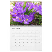 12 maanden foto's van de seizoenen, zesde editie kalender (Mar 2026)