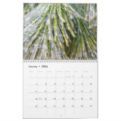 12 maanden foto's van de seizoenen, zesde editie kalender (Jan 2026)