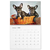 12 maanden Franse Bulldog Dogs Art Waterverf Gift Kalender (Jan 2026)