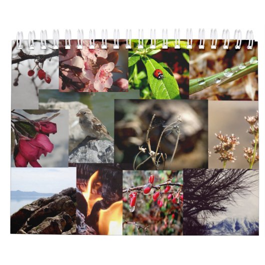 12 maanden Franse kalender (Achterkant)