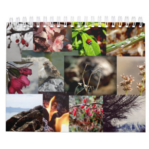 12 maanden Franse kalender
