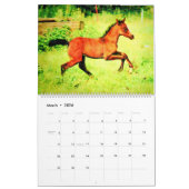 12 maanden Gespiriseerde Arabische paarden Waterve Kalender (Mar 2026)