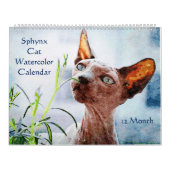 12 maanden haarloze keelholte katten Waterverf sch Kalender (Hoes)