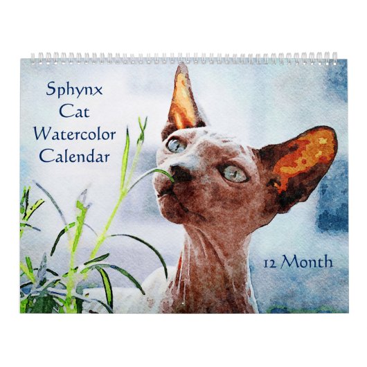 12 maanden haarloze keelholte katten Waterverf sch Kalender (Hoes)