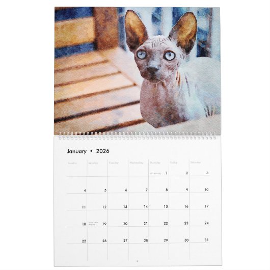 12 maanden haarloze keelholte katten Waterverf sch Kalender (Jan 2026)