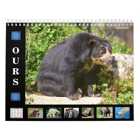12 maanden kalender diverse beren (Hoes)