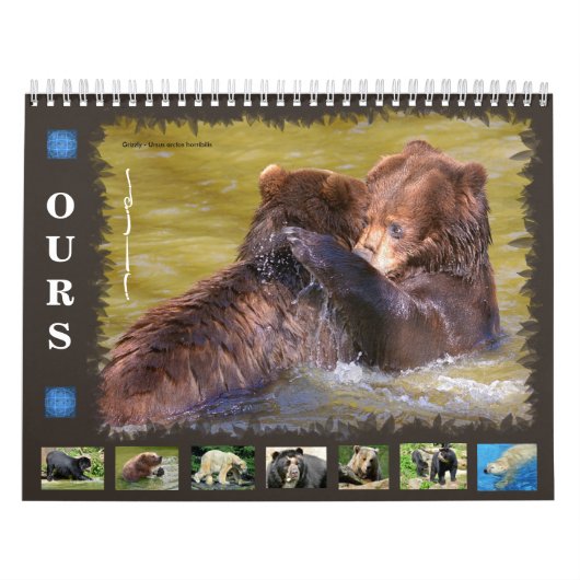 12 maanden kalender diverse beren (Hoes)