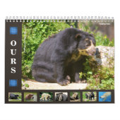 12 maanden kalender diverse beren (Hoes)