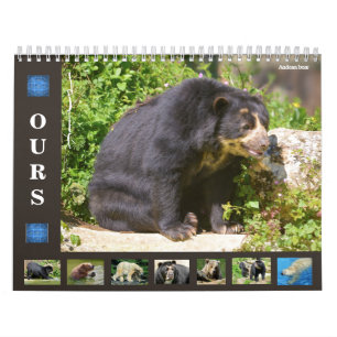 12 maanden kalender diverse beren